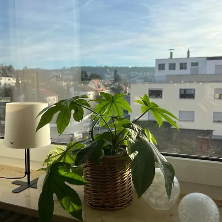 Διαμέρισμα Zuhause In Mainfranken *